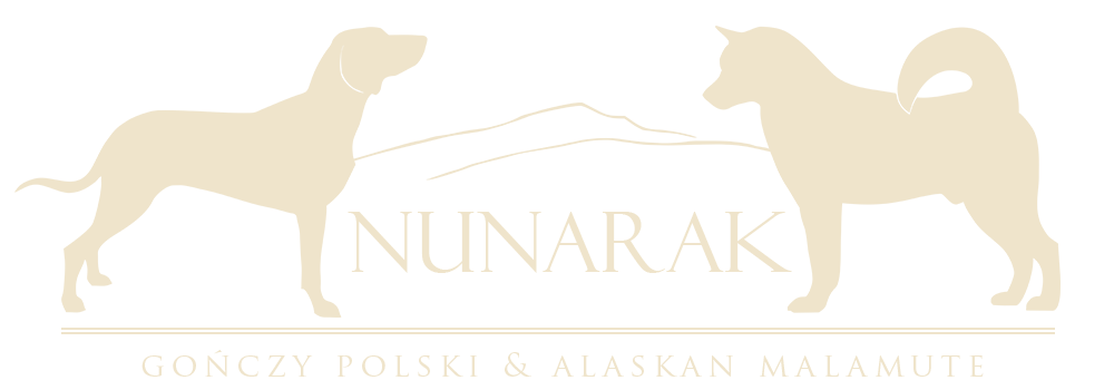 Nunarak.pl